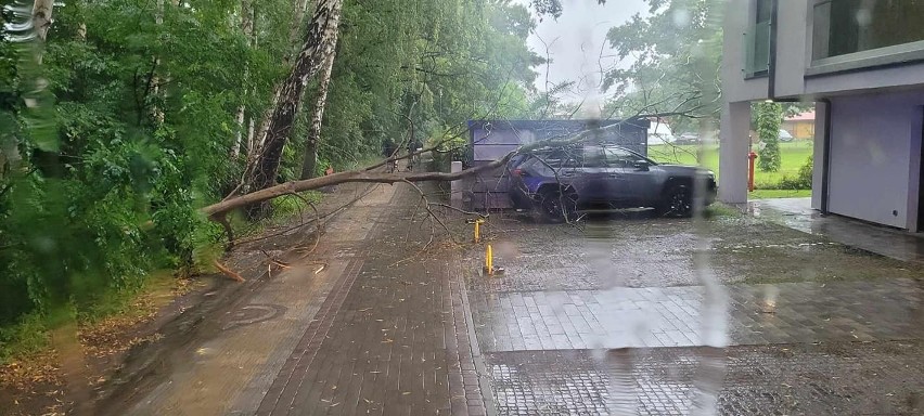 Ogromna ulewa w Koszalinie. W Sianożętach drzewo spadło na samochód