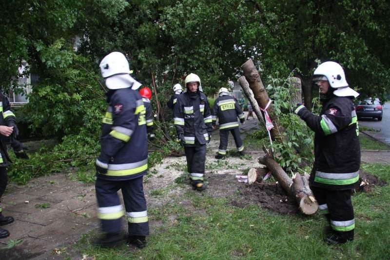 Strażacy usuwają powalone drzewo na ulicy Chełmskiej.