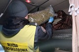 Marihuana za blisko 900 tys. zł była ukryta w kabinie ciężarówki