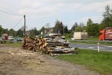 Wycinka drzew i badania geotechniczne w Olkuszu. Trwają przygotowania do wielkiej przebudowy DK 94. Zobacz zdjęcia 