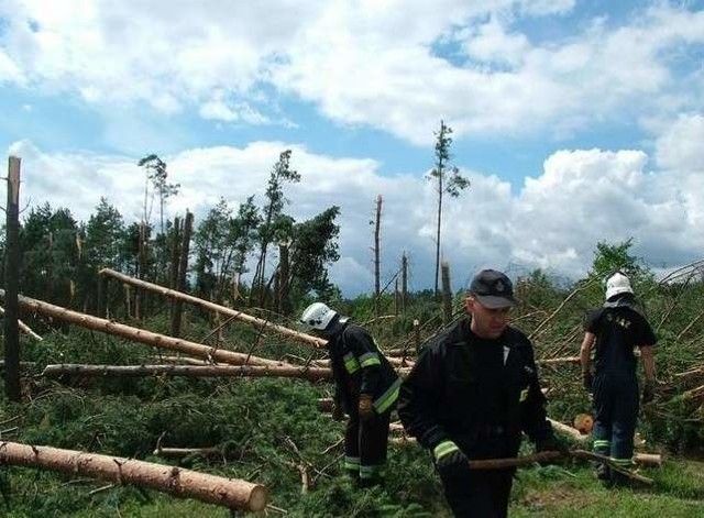 W Kujawsko&#8211;pomorskiem zniszczenia dotknęły głównie powiaty: świecki i tucholski. W województwie pomorskim najgorzej jest w powiatach: starogardzkim, sztumskim i kwidzyńskim. W Wielkopolskiem najbardziej ucierpiały powiaty: pilski i czarnkowsko&#8211;trzcianecki.