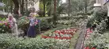Najpiękniejsze ogródki pod blokiem na Nowym Rokiciu. Zobacz, jak seniorki zagospodarowały 400 m kw. 