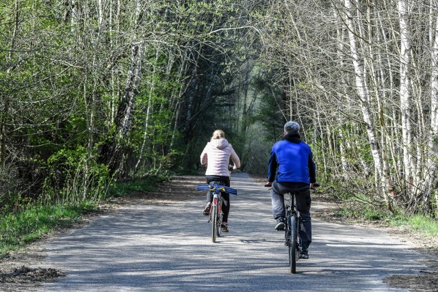 W okresie letnim nie tylko spacery się liczą, wielu z nas stawia na sport. Wśród drzew można biegać, uprawiać nordic walking, jeździć na rowerze, często także znaleźć rzekę, na której da się organizować spływ kajakowy.