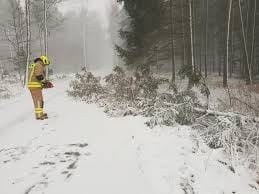 Interwencja strażaków z gminy Borkowice w Wymysłowie.