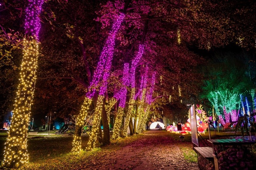 Garden of Lights – świetlna wystawa po raz pierwszy w Szczecinie!
