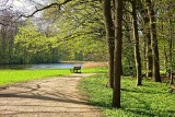 Prognoza pogody na sobotę i niedzielę. Polska podzielona na dwie strefy