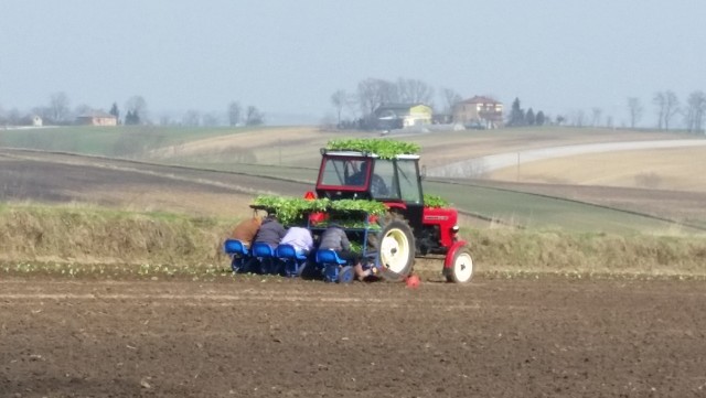 Rolnicy z gminy Koszyce zapłacą w tym roku 49 groszy za każdy metr kwadratowy powierzchni mieszkalnej