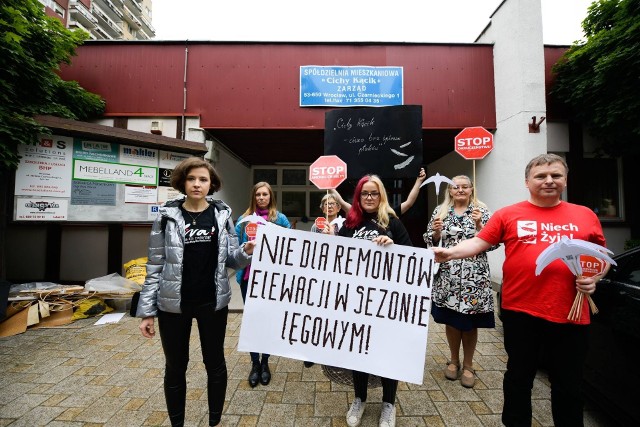 25 czerwca wolontariusze z fundacji Viva pikietowali pod siedzibą zarządu spółdzielni Cichy Kącik we Wrocławiu