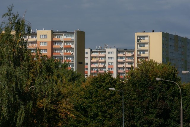 Generalnie trzeba najpierw mieć 20 procent wartości mieszkania czy domu, które zamierzamy kupić na kredyt. Można jednak skorzystać z rządowego programu „Mieszkanie bez wkładu własnego”. Tłumaczymy jego zasady - szczegóły na kolejnych slajdach naszej galerii.