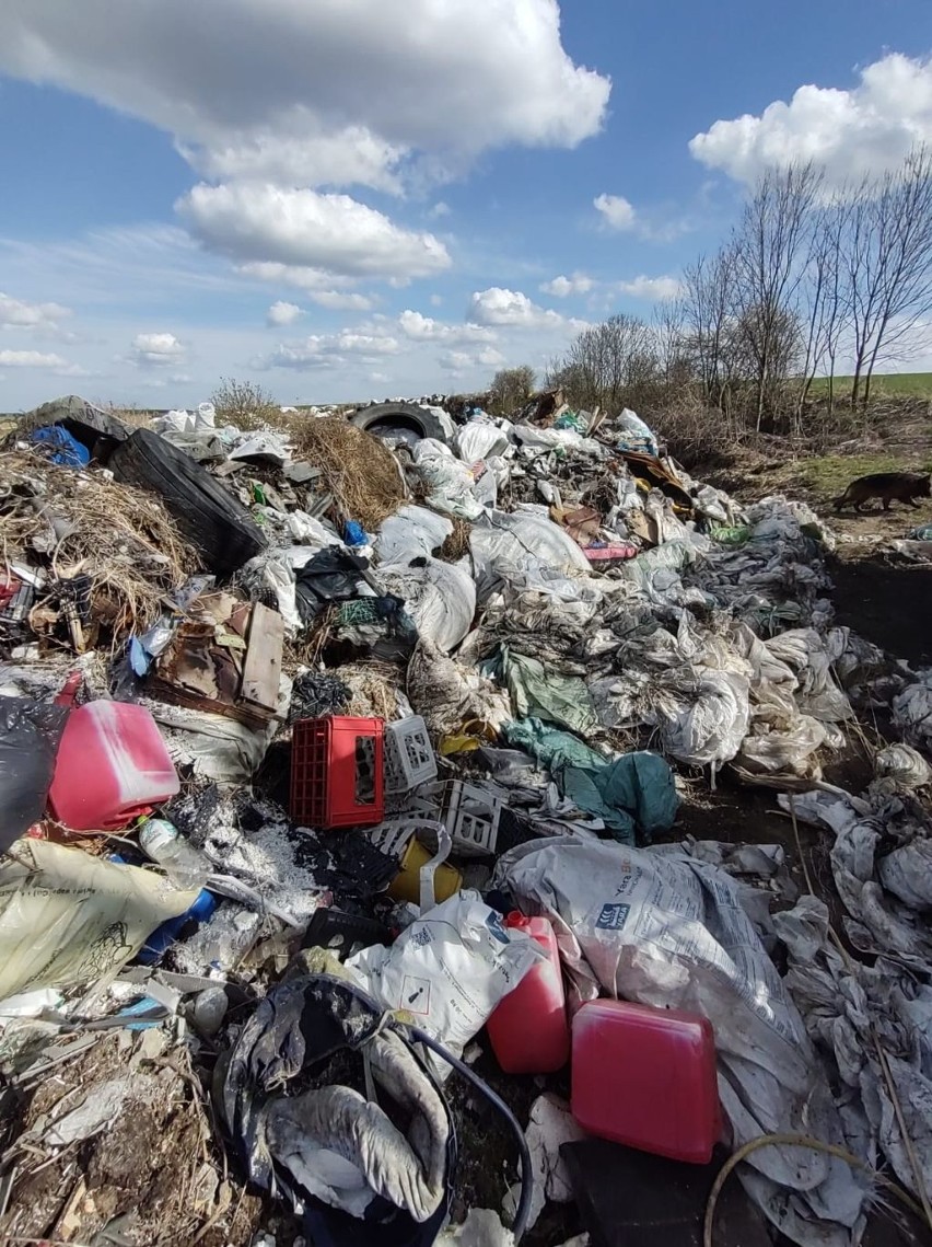 Wyrzucał śmieci w lesie koło Sędziszowa. Policjant biegł 2,5 kilometra by go dopaść [ZDJĘCIA] 