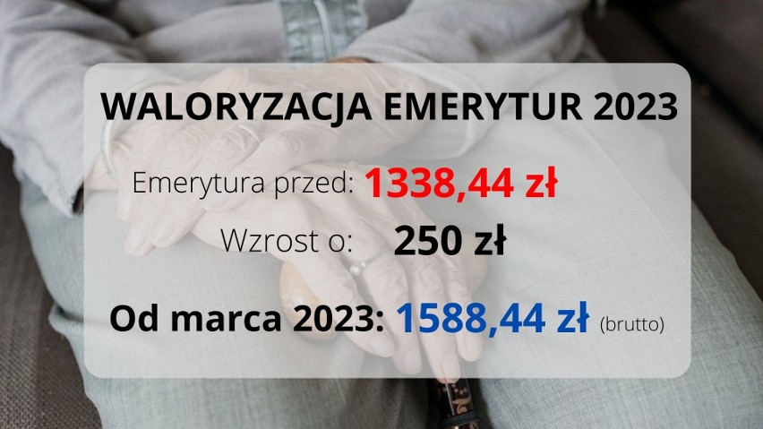 W 2023 roku najniższa emerytura lub renta wzrosną z 1338,44...