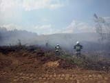 Widgiry. Strażacy walczyli z pożarem w potężnym upale. Na pomoc ruszyli robotnicy (zdjęcia)