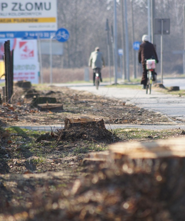 Czytelnicy zaalarmowali nas także informacją o wycince kolejnych drzew - przy ul. Orkana