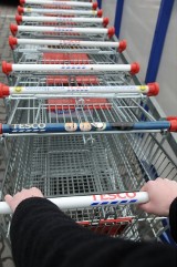 Myszy w magazynie Tesco przy Orkana! Obok żywności leżały zakurzone dokumenty