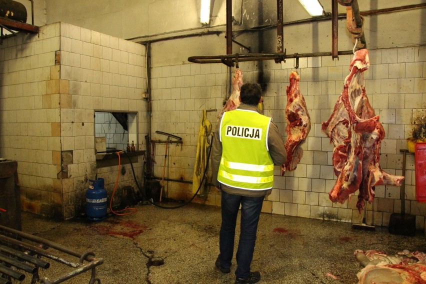 Nielegalne mięso w Koronowie. Do jakich sklepów trafiało? [zdjęcia]