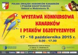 Wodzisławskie Centrum Kultury: Wystawa ptasich piękności w ten weekend