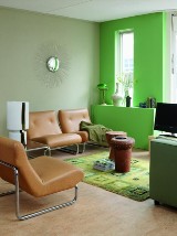 Zielony kolor w aranżacji wnętrz. Jak zaaranżować mieszkanie w tym kolorze (zdjęcia)