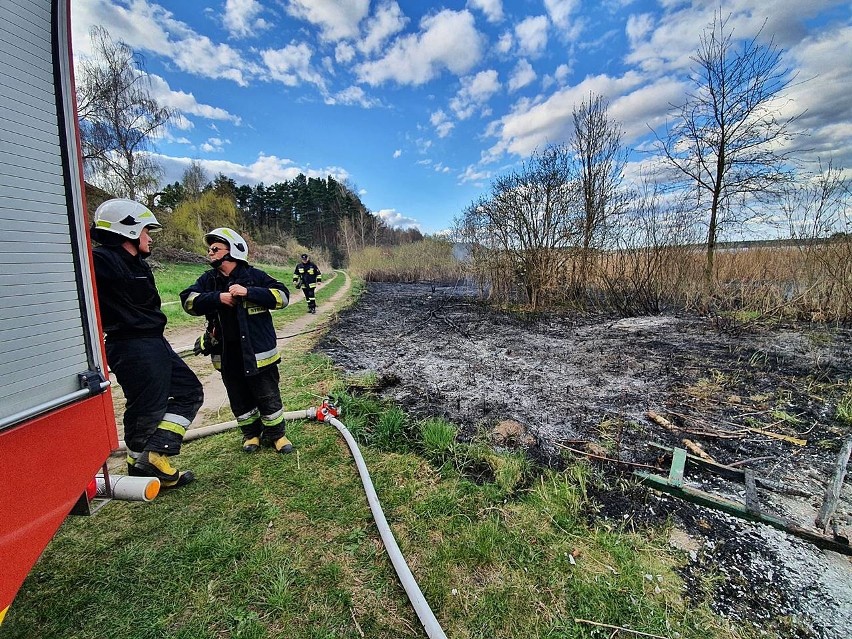 Strażacy z OSP KSRG  Koronowo gasili w weekend pożar w...