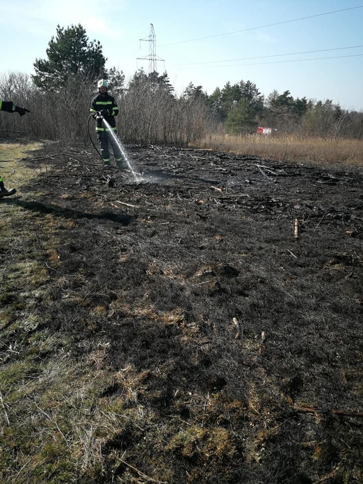 Pożar traw pod Chwałkowem