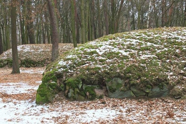 Grobowce megalityczne odkryte w Dębianach mogą być podobne do tych w Wietrzychowicach.