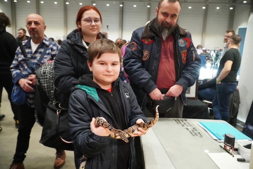 Pająki, węże, owady... na wystawie Ezgotyczne Zwierzęta w niedzielę w hali Expo Łódź ZDJĘCIA 