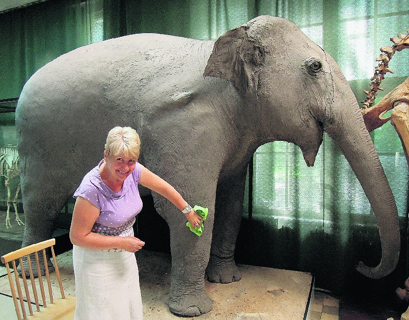 Elżbieta Węglińska dba o to, by eksponaty zwierząt nigdy nie...