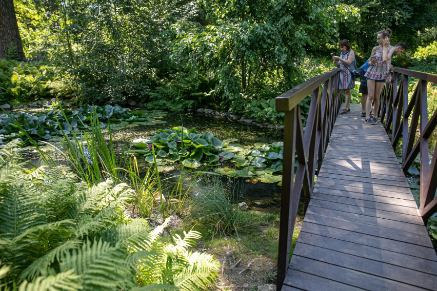 Kraków. Ogród Botaniczny UJ wzbogaci się o odtworzoną okazałą oranżerię. Powstanie jego nowa wizytówka [WIZUALIZACJE, ZDJĘCIA]