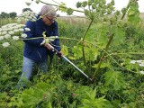 GMINA NA 6 2019 Co w ostatnim czasie Santok zrobił dla środowiska? 