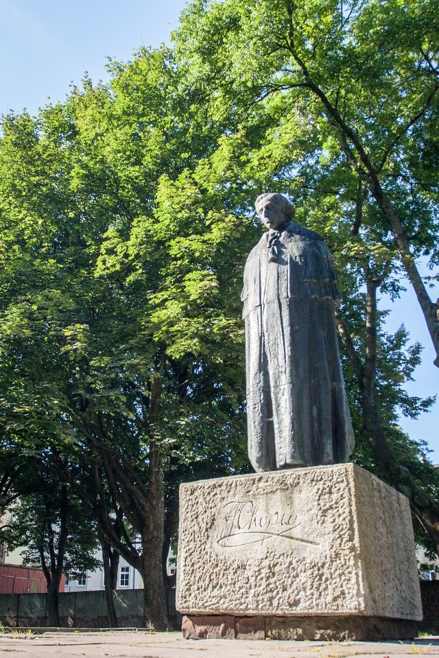 Trwa spór, czy pięć około 120-letnich drzew zagraża zabytkowym murom obronnym, czy nie.