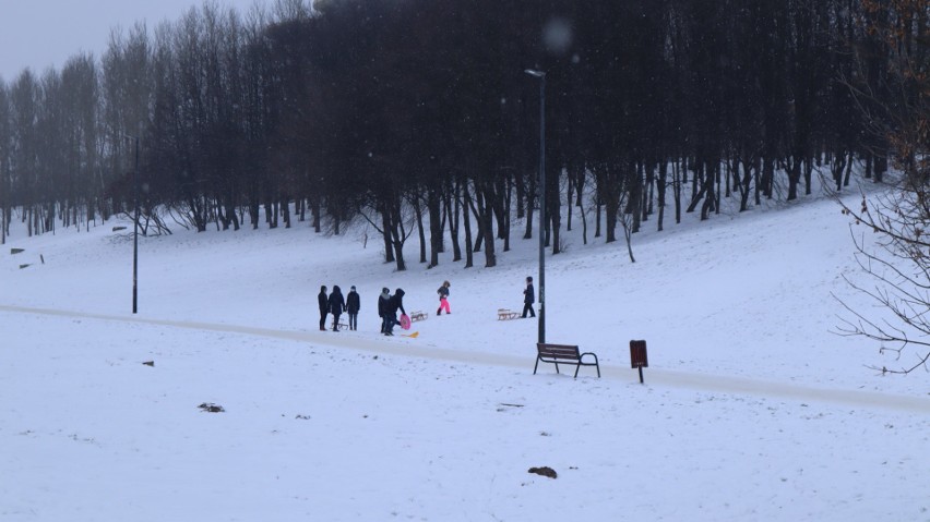 Lublinianie nie tylko morsują, ale także saneczkują! W sobotę w wąwozie Rury tłumy, jak w Zakopanem! Zobacz zdjęcia