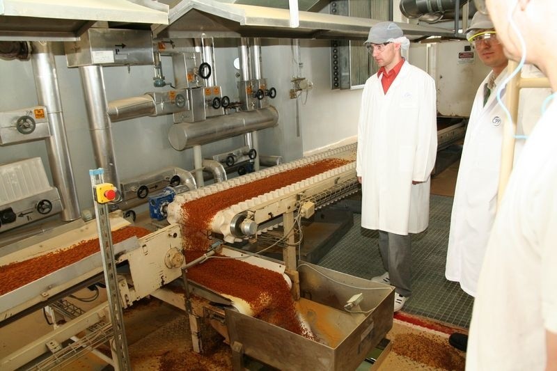 W tej toruńskiej fabryce produkują płatki kukurydziane Nestlé  
