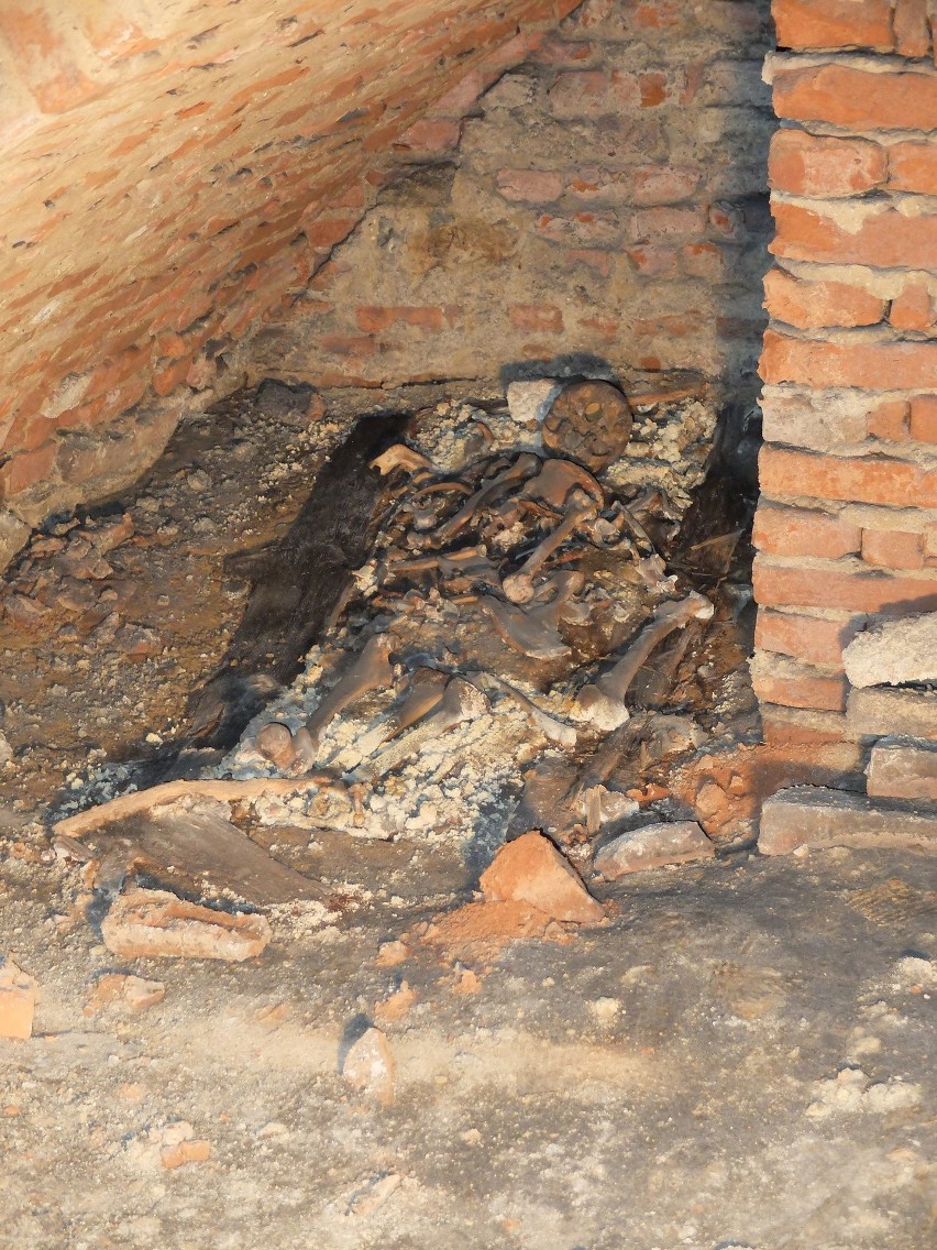 Sensacyjne odkrycie w kościele oo. Bernardynów w Rzeszowie. Archeolodzy otworzyli nieznaną kryptę. Są też pozostałości po dawnym cmentarzu 