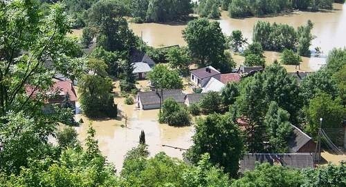 Zalany Janowiec (Lubelskie)