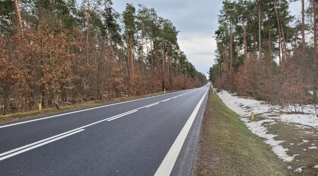 Projekt dotyczy przebudowy drogi krajowej numer 79 na odcinku z Aleksandrówki (na zdjęciu) do Garbatki-Nowiny.