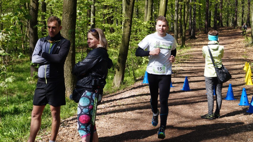 Tłumy biegaczy w lesie Kyndra w Jastrzębiu