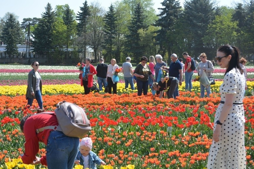 Poniedziałek 2. maja to drugi dzień Międzynarodowych Targów...