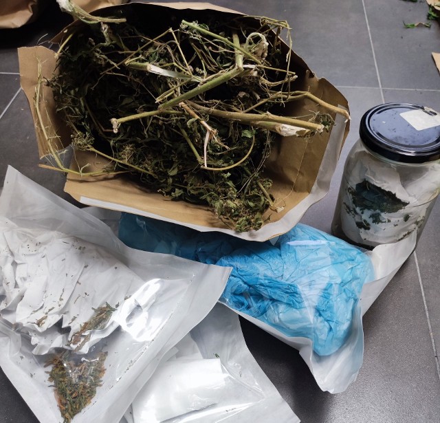 Zabezpieczony susz marihuany w kopertach papierowych i słoiku