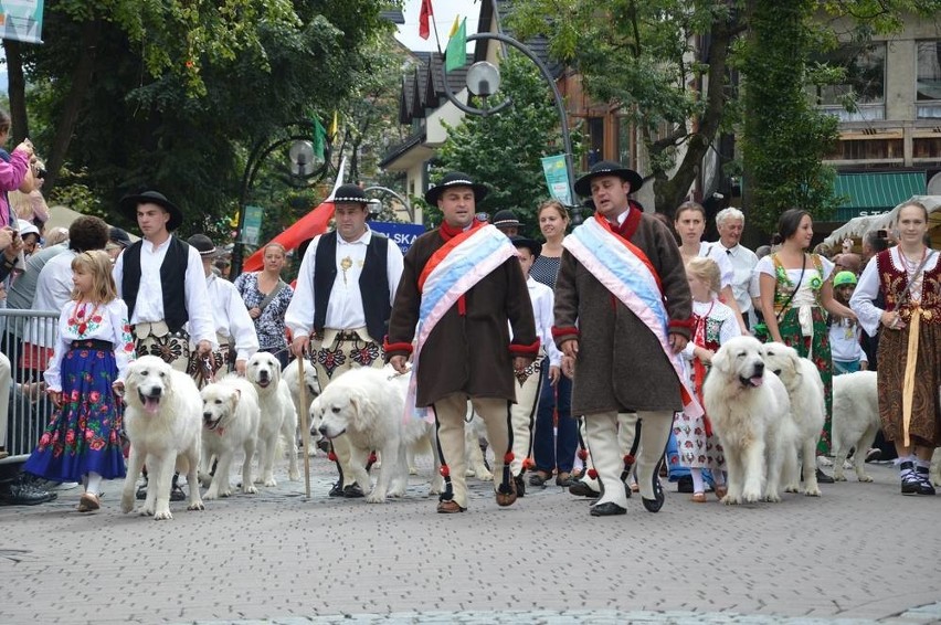 Do Zakopanego przyjechały zespoły góralskie z całego świata