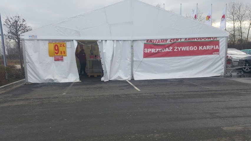 W Auchan żywego karpia kupicie w specjalnym namiocie przed...