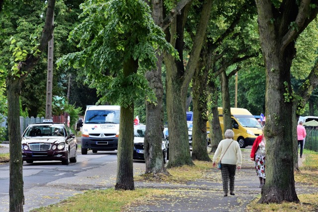 Na zdjęciu ulica Przypadek w Inowrocławiu. Tutaj pod topór ma trafić 20 drzew.