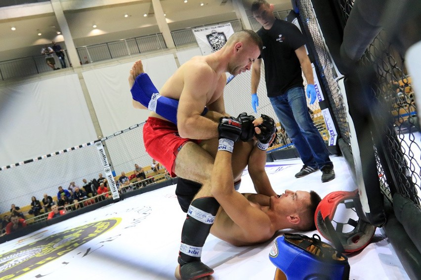 MMA - mistrzostwa Polski służb mundurowych [ZDJĘCIA]