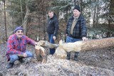 Wola Rzędzińska k. Tarnowa. Nie chcą bobra za sąsiada [WIDEO, ZDJĘCIA]