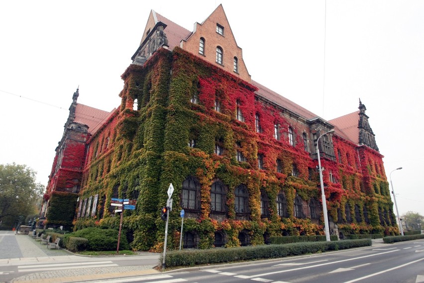 Muzeum Narodowe we Wrocławiu