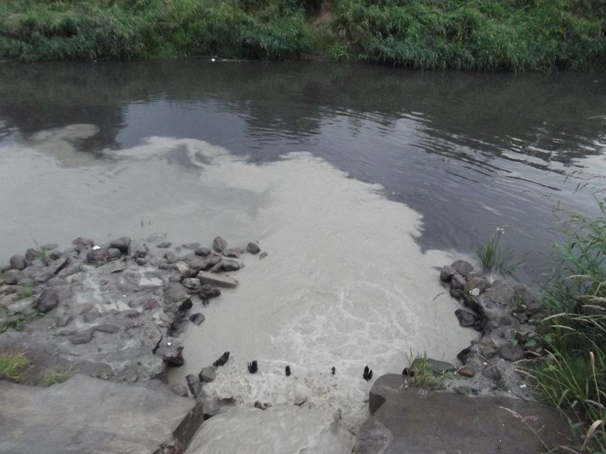 Warta w Poznaniu: Kto, czym i dlaczego zanieczyszcza rzekę?