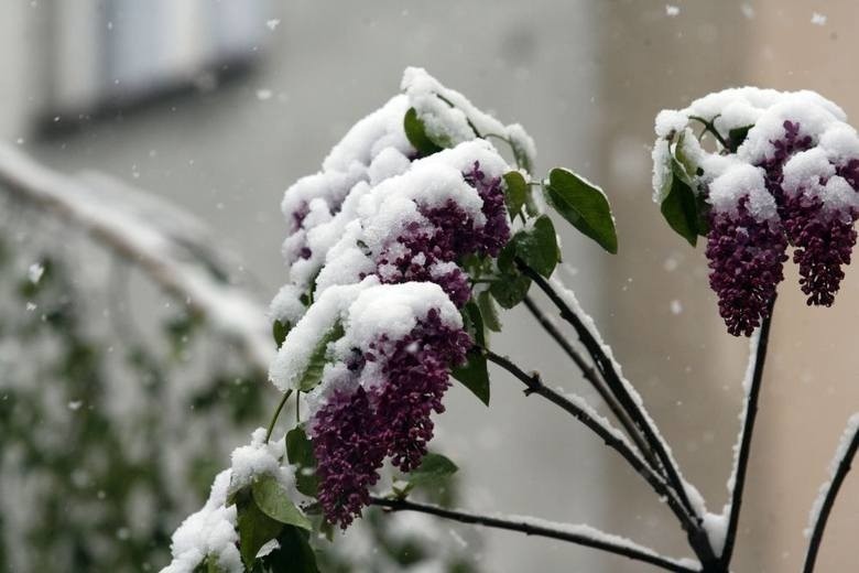 Majówka w górach? Uważaj na… śnieg [OSTRZEŻENIE METEO]