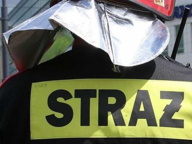 Strażacy szybko opanowali pożar.