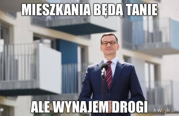 Jak znaleźć mieszkanie do wynajęcia? Niektóre oferty przyprawiają o zawrót głowy! Zobacz MEMY