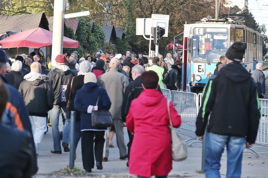 Wrocławskie cmentarze przepełnione. Rozwiązaniem urna zamiast grobu?