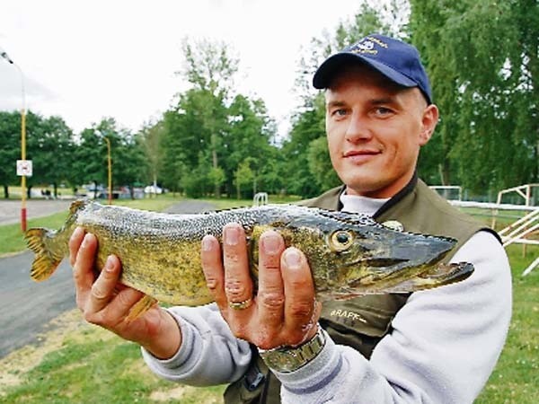 Jacek Czapiewski z Koszalina złowił co prawda największego szczupaka (1,95 kg), ale nie wystarczyło to do wygrania I Zawodów Spinningowych w Szczecinku kilka lat temu. 
