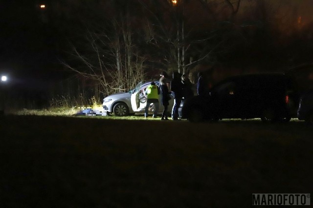 Opole. Ciało mężczyzny przy pustym samochodzie w pobliżu stawu przy ul. Lipowej